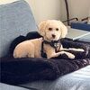 tuffybrown